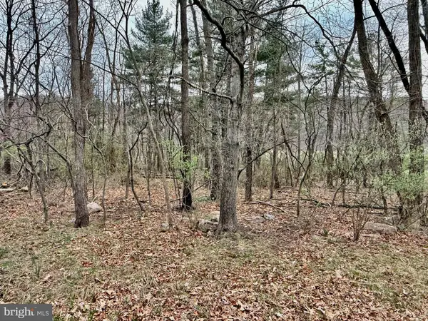 Timberlake Estates - Lot 2, NEW CREEK, WV 26743