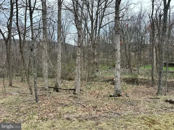 Timberlake Estates - Lot 24, NEW CREEK, WV 26743