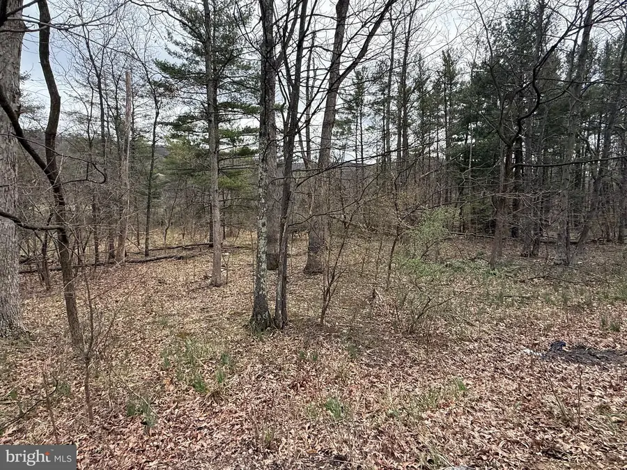 Timberlake Estates - Lot 4, New Creek, WV 26743 - Image #2