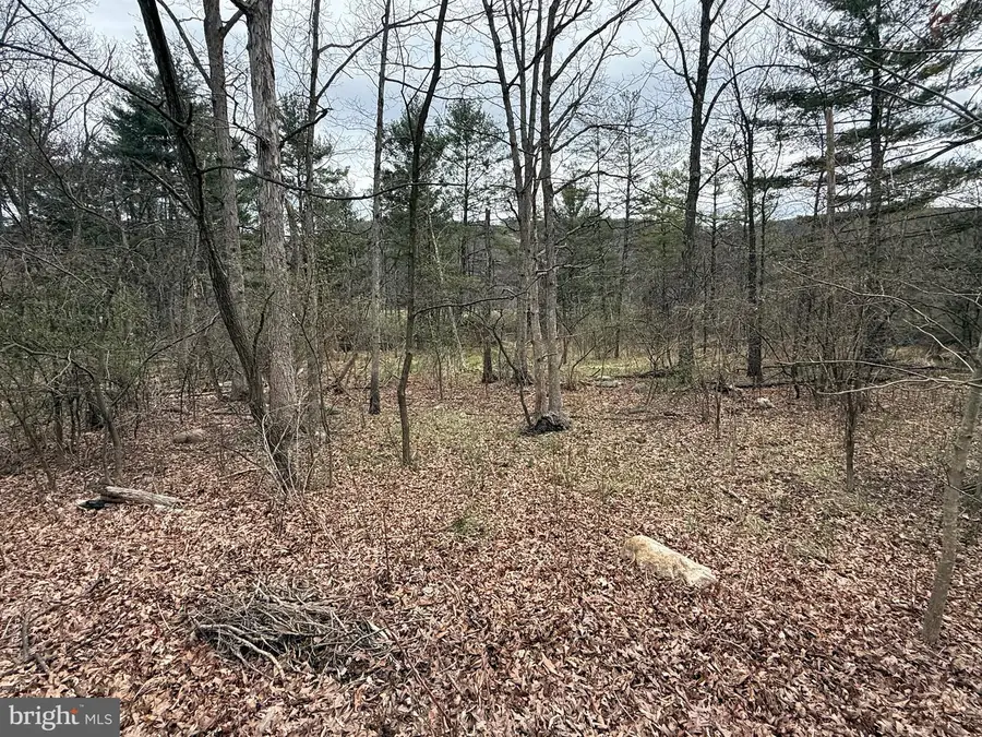 Timberlake Estates - Lot 4, New Creek, WV 26743 - Image #3