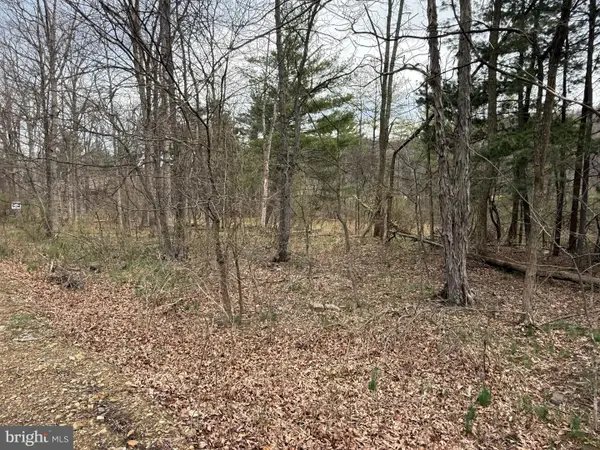Timberlake Estates - Lot 5, NEW CREEK, WV 26743