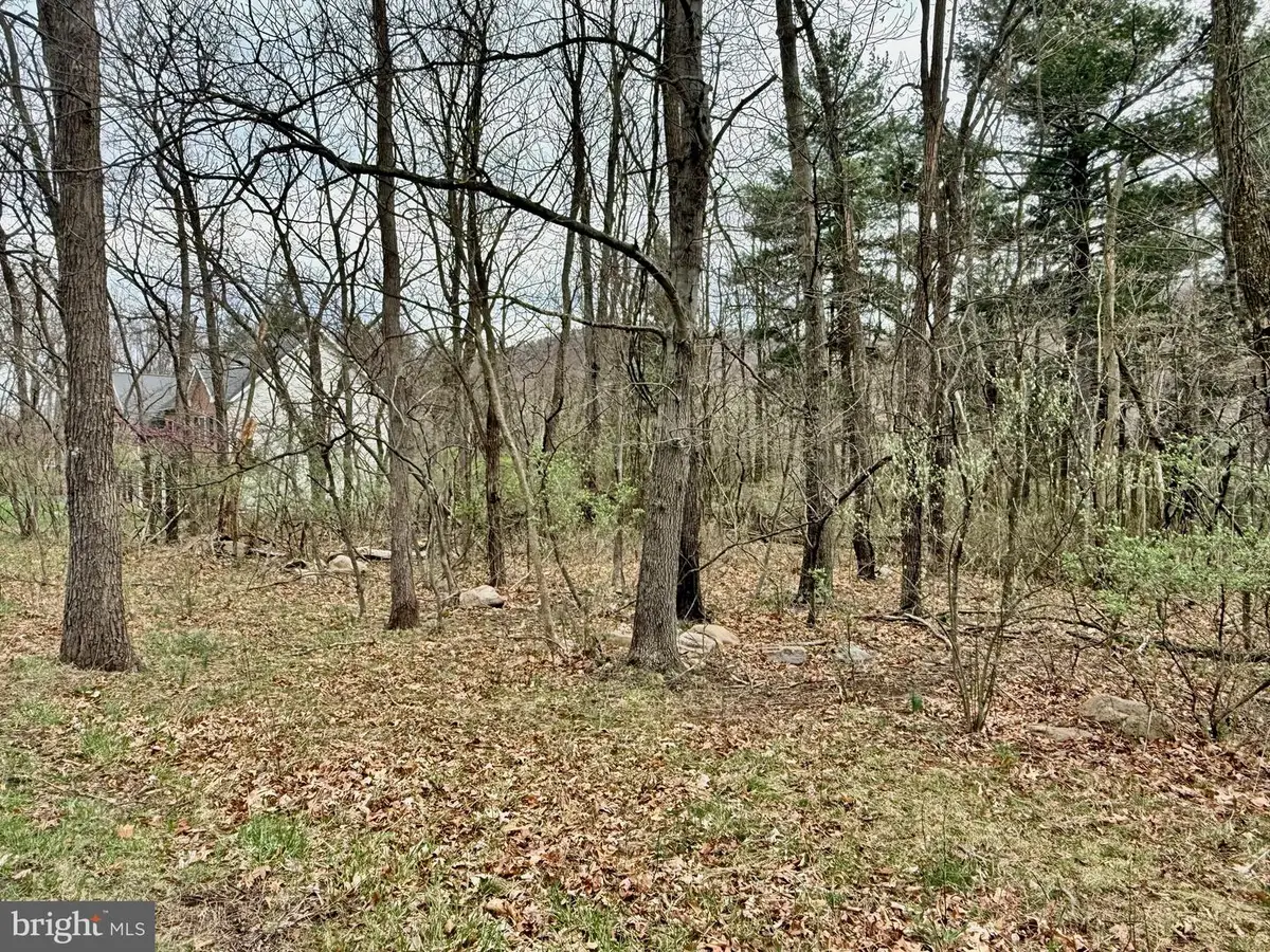 Timberlake Estates - Lot 6, New Creek, WV 26743 - Image #1