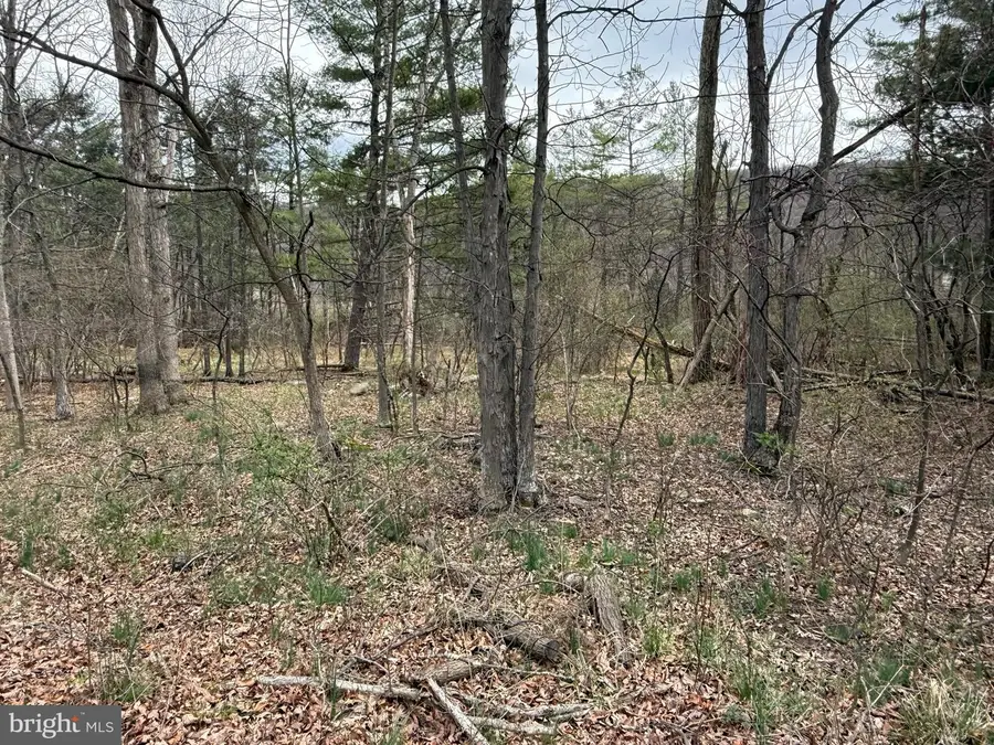 Timberlake Estates - Lot 6, New Creek, WV 26743 - Image #3