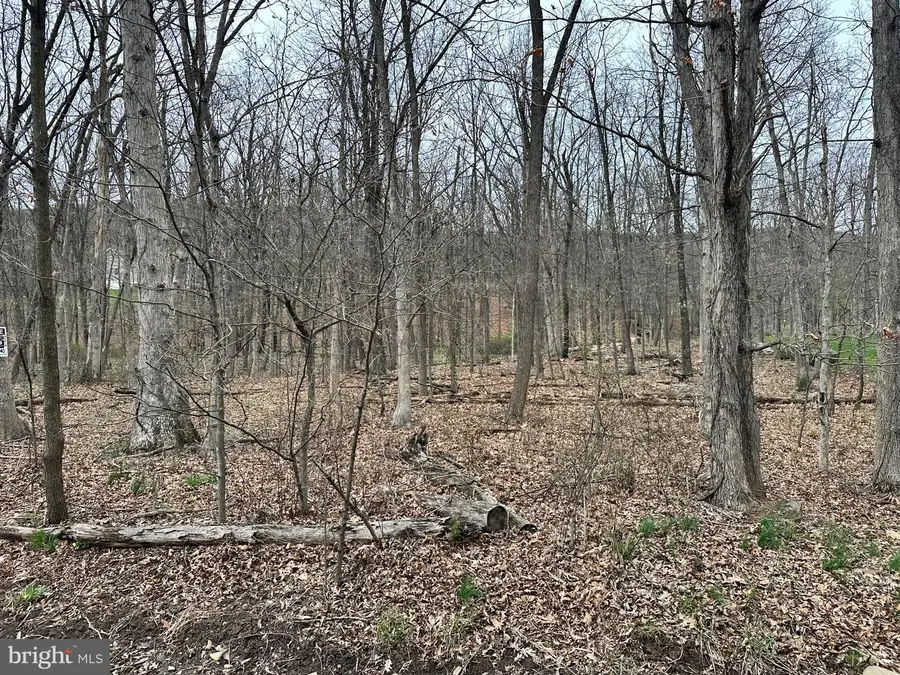 Timberlake Estates - Lot 27, New Creek, WV 26743 - Image #2