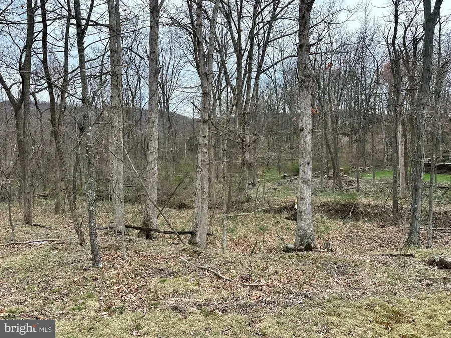 Timberlake Estates - Lot 27, New Creek, WV 26743 - Image #3