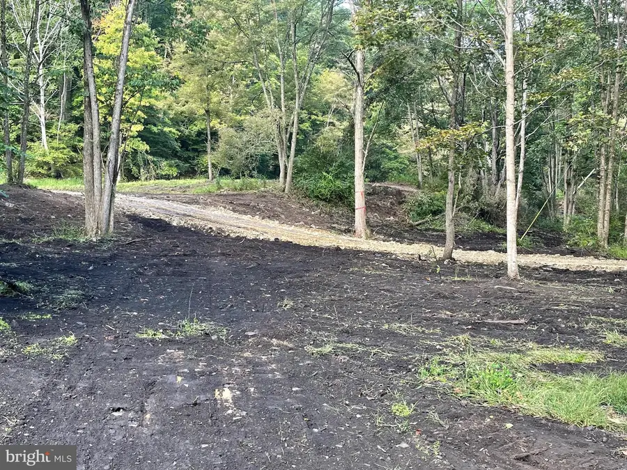 Abrams Creek, Elk Garden, WV 26717 - Image #2