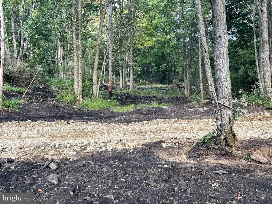 Abrams Creek, Elk Garden, WV 26717 - Image #3