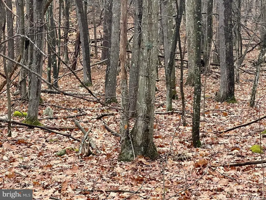 Oakmont Road, Elk Garden, WV 26717 - #2