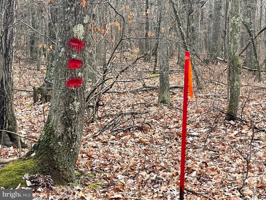 Oakmont Road, Elk Garden, WV 26717 - #3