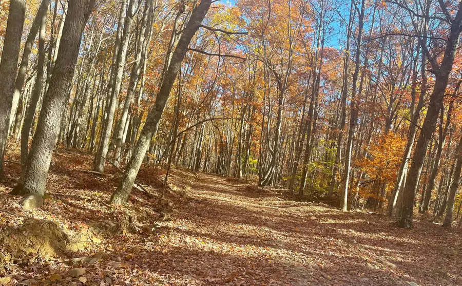 Oakmont Drive, Elk Garden, WV 26717 - #2