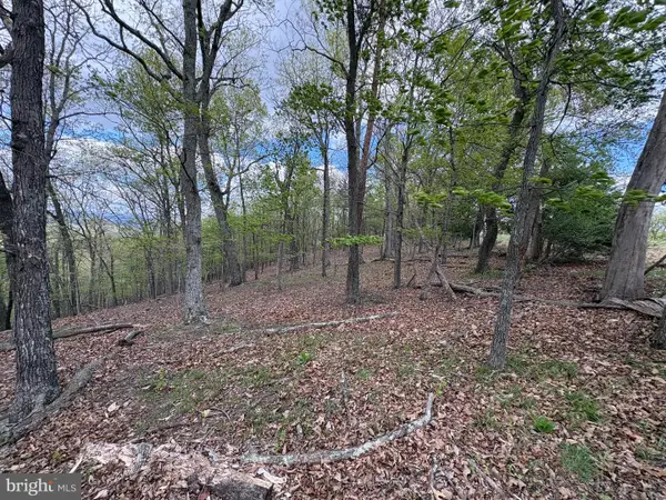 10 Ac Moon Ridge Ln, BURLINGTON, WV 26710