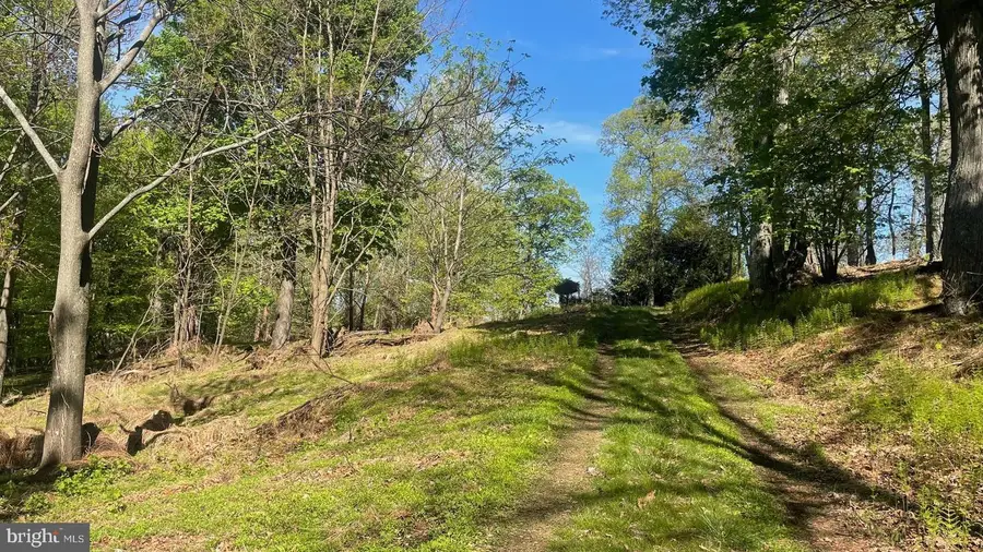 133.944 Acres Russelldale Rd, Burlington, WV 26710 - #3