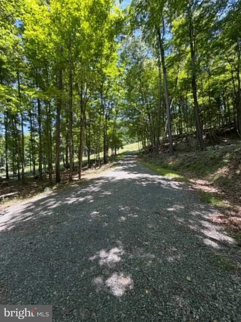 1515 Barnum Road, Keyser, WV 26726 - #2