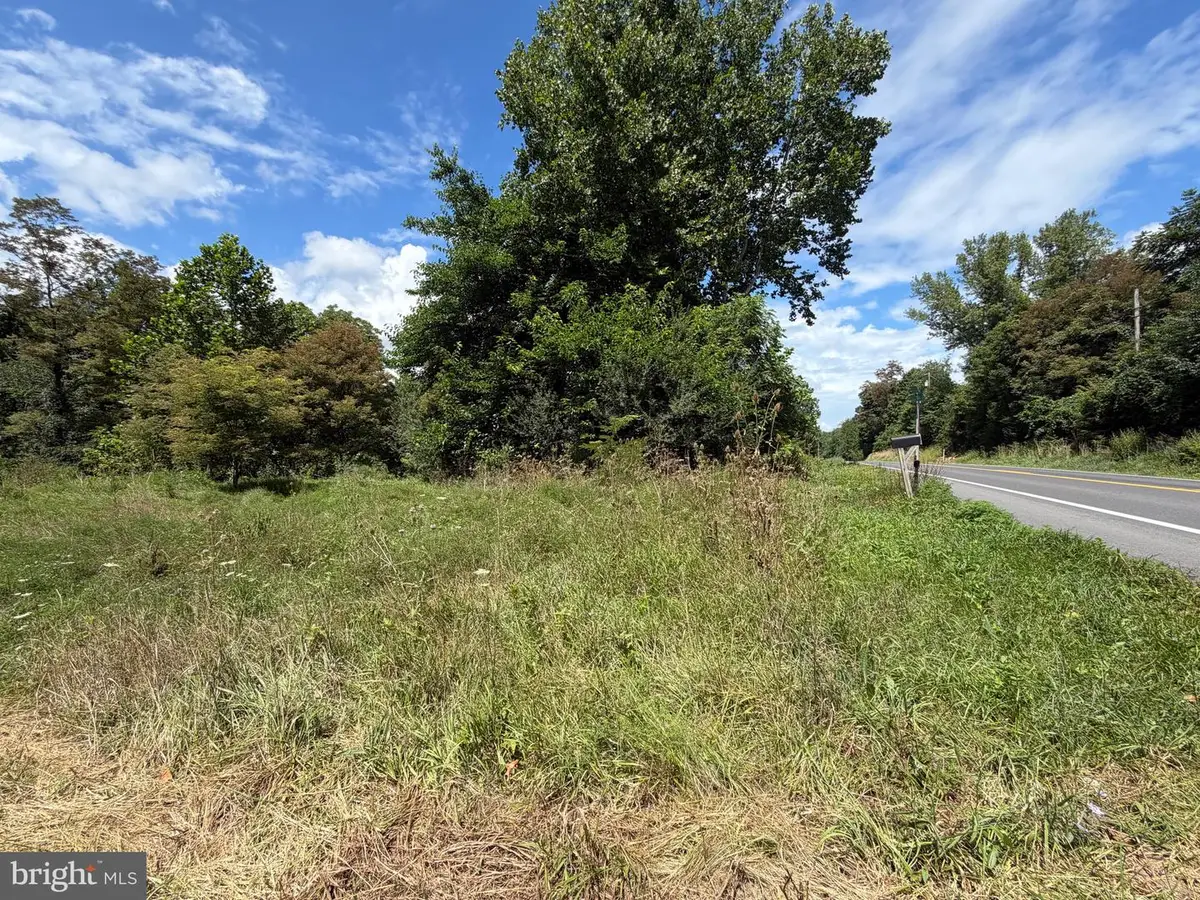 Laurel Dale Rd, New Creek, WV 26743 - #1
