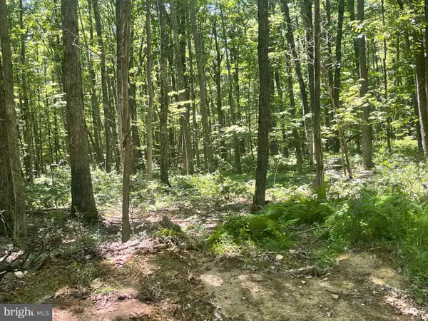 Upper Abrams Creek Rd, ELK GARDEN, WV 26717