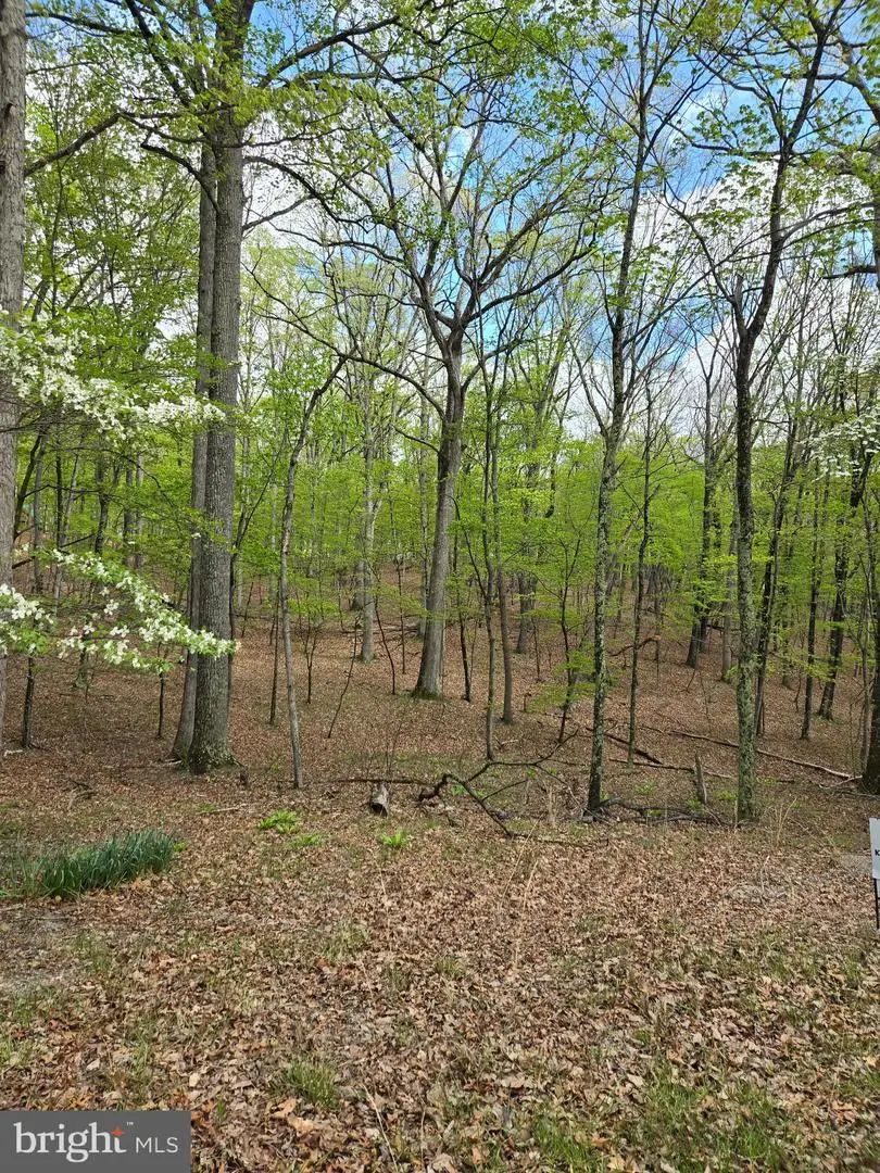 Pioneer Trail, Great Cacapon, WV 25422 - Image #1