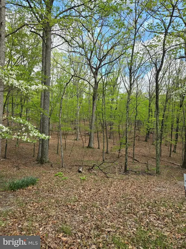 Pioneer Trail, GREAT CACAPON, WV 25422