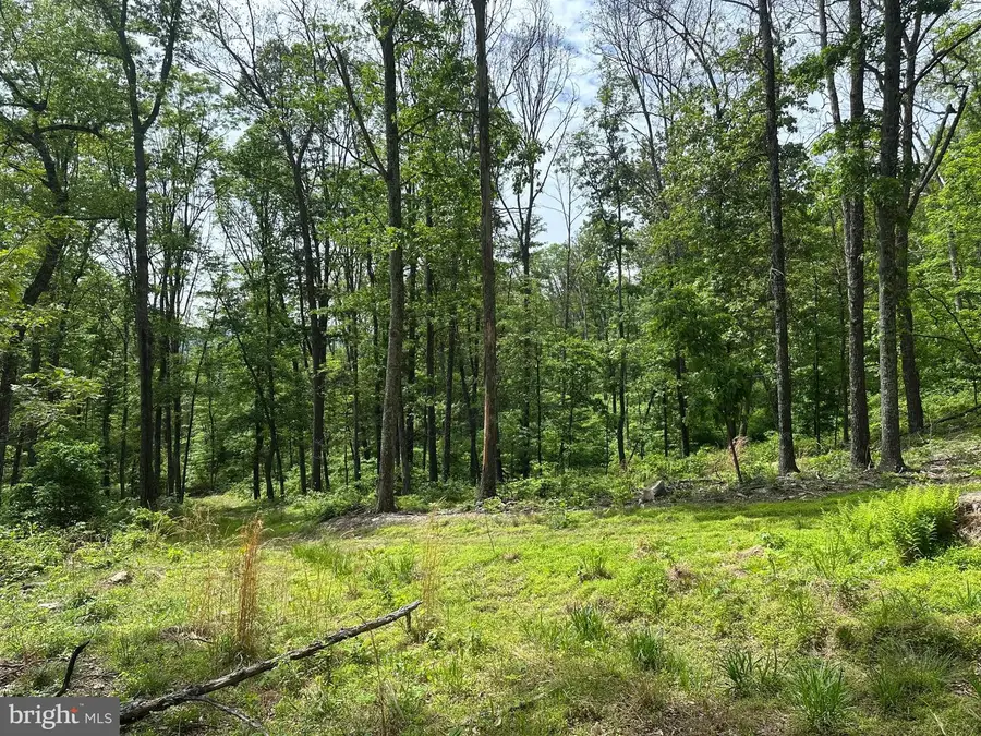 389.2 Acres Woodmont Rd, Great Cacapon, WV 25422 - Image #3