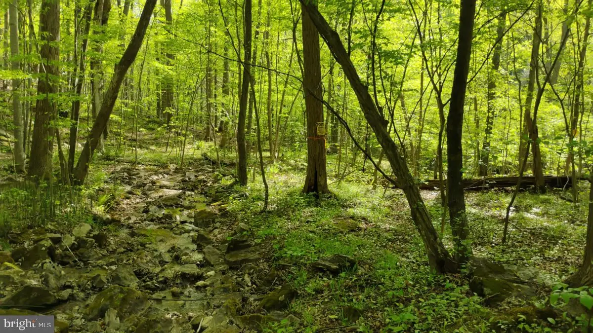 0 Sir Johns Run Road, Berkeley Springs, WV 25411 - Image #1