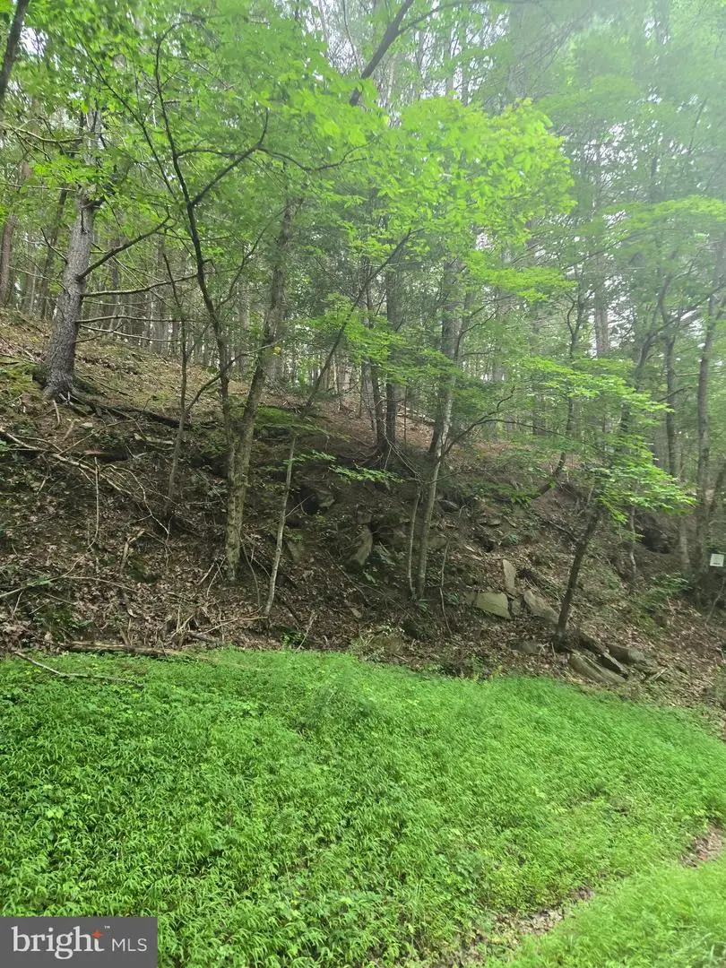 Mountain Run Road, Berkeley Springs, WV 25411 - Image #2