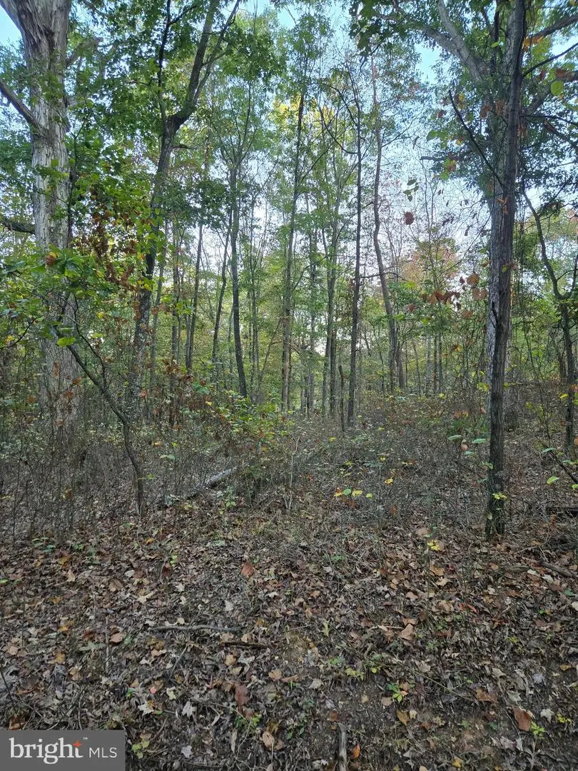 Hungaria Rd, Berkeley Springs, WV 25411 - Image #3
