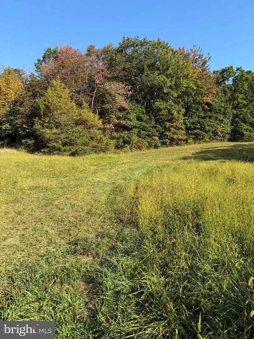 Rt 9 Martinsburg Rd And River Rd, Hedgesville, WV 25427 - Image #3