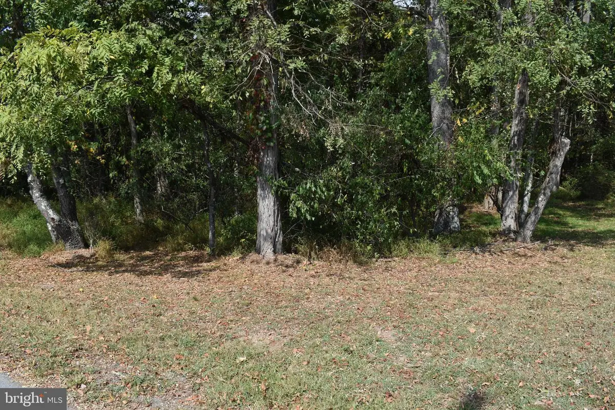 19 Mountain Laurel Dr, Berkeley Springs, WV 25411 - Image #1