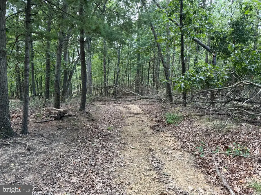 Fairview Dr, Berkeley Springs, WV 25411 - Image #3