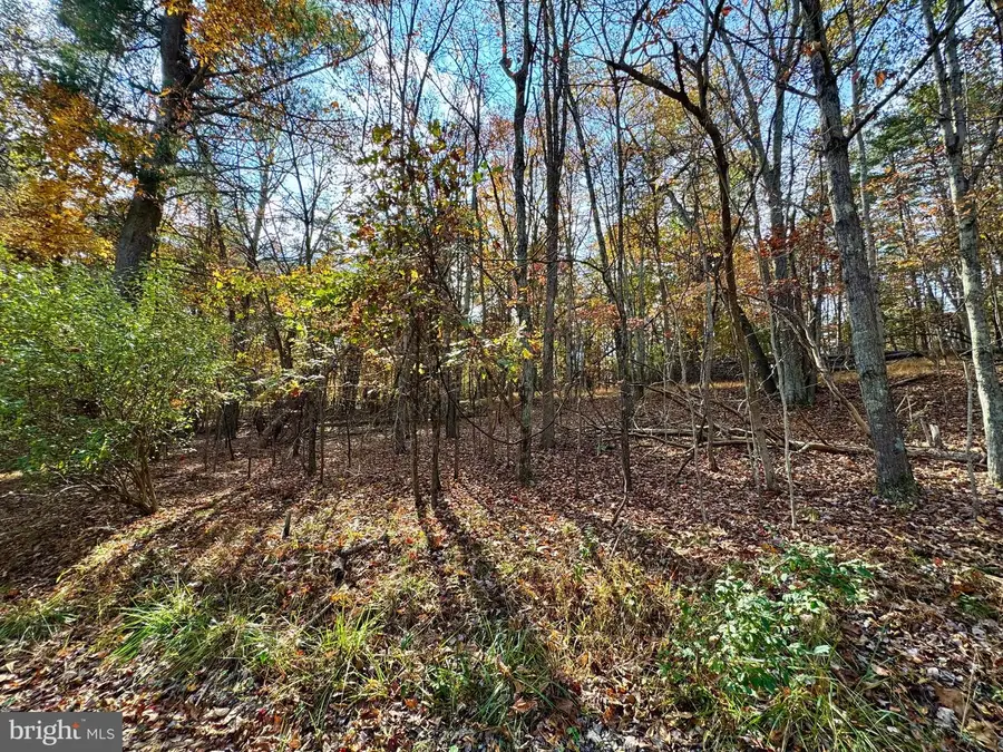 Whitetail Dr #lot 33, Berkeley Springs, WV 25411 - Image #3