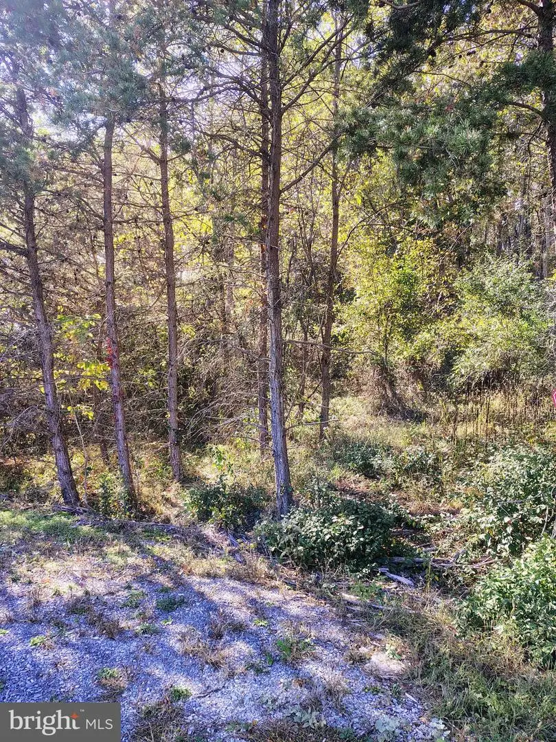 Amulet Ln, Berkeley Springs, WV 25411 - Image #3