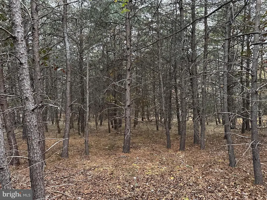 Lot 58 Medford Lane, Berkeley Springs, WV 25411 - Image #3