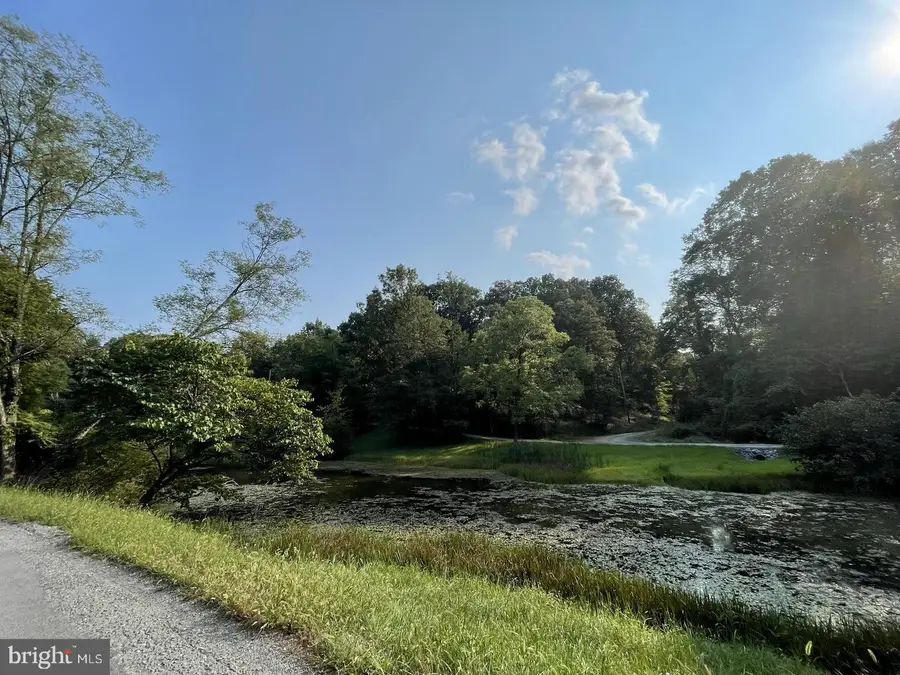 58 Birch Grove Ln, Berkeley Springs, WV 25411 - Image #3