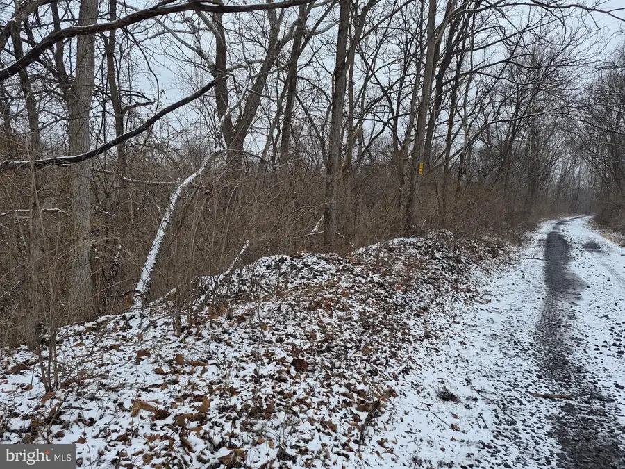 Low Line Rd, Great Cacapon, WV 25422 - #2