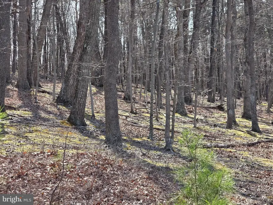 Hollybush Lane #lot 3 B, Berkeley Springs, WV 25411 - #3