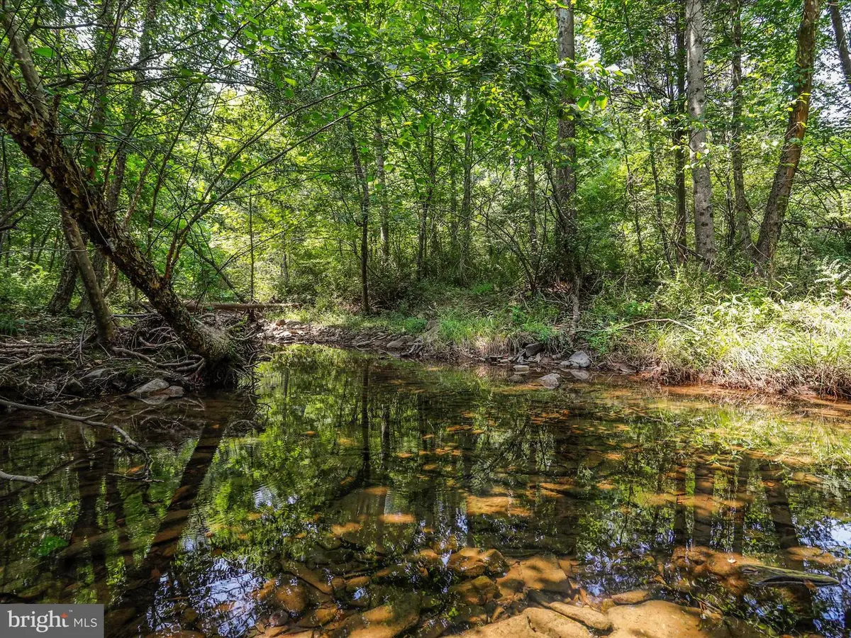 1704 Posey Hollow, Berkeley Springs, WV 25411 - #1