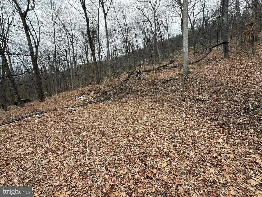 Warbler's Way, Berkeley Springs, WV 25411 - #2