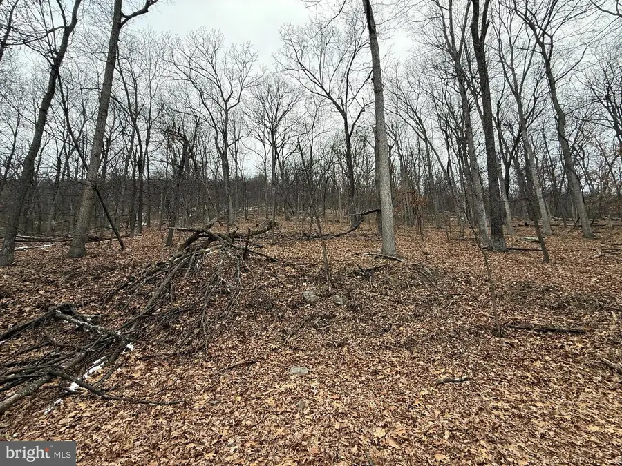 Warbler's Way, Berkeley Springs, WV 25411 - #3