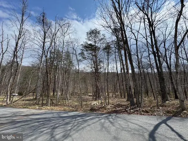 Rock Gap Rd, Berkeley Springs, WV 25411 - #2