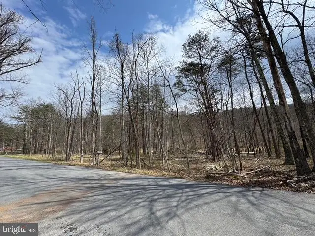 Rock Gap Rd, Berkeley Springs, WV 25411 - #3