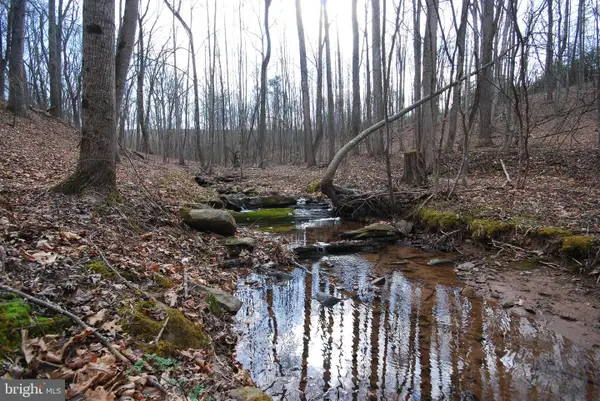 265 Lynch Ln, BERKELEY SPRINGS, WV 25411