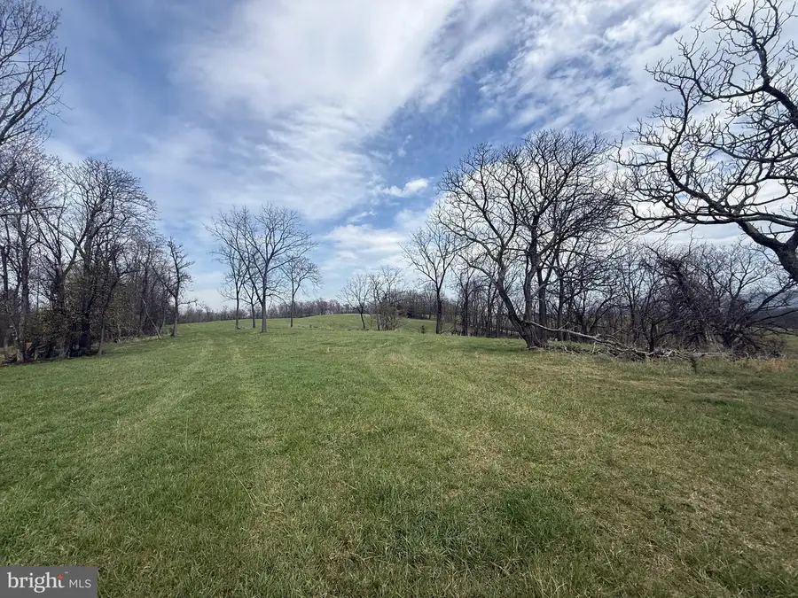 1907 Pious Ridge Rd, Berkeley Springs, WV 25411 - #2