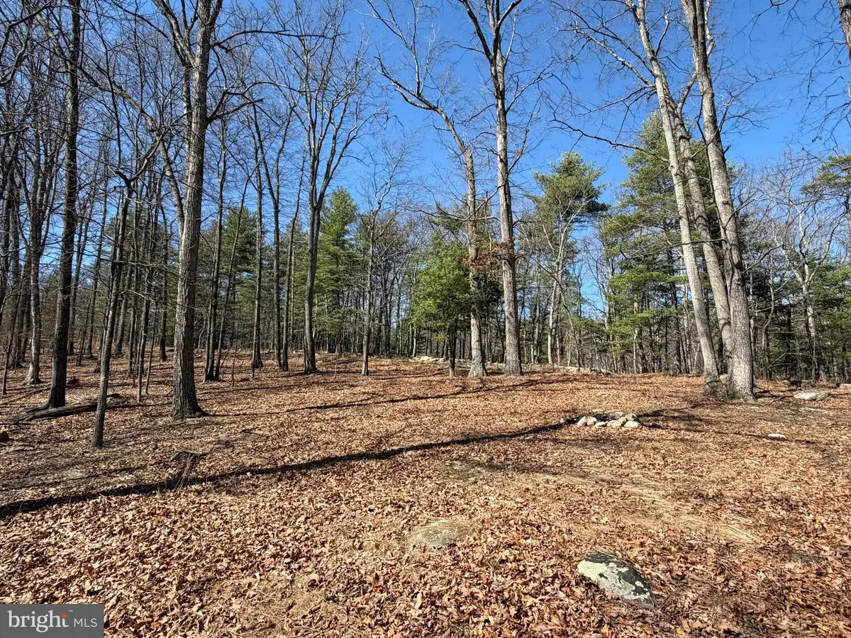 Lot 43 Rapids Point Trl, Great Cacapon, WV 25422 - #1