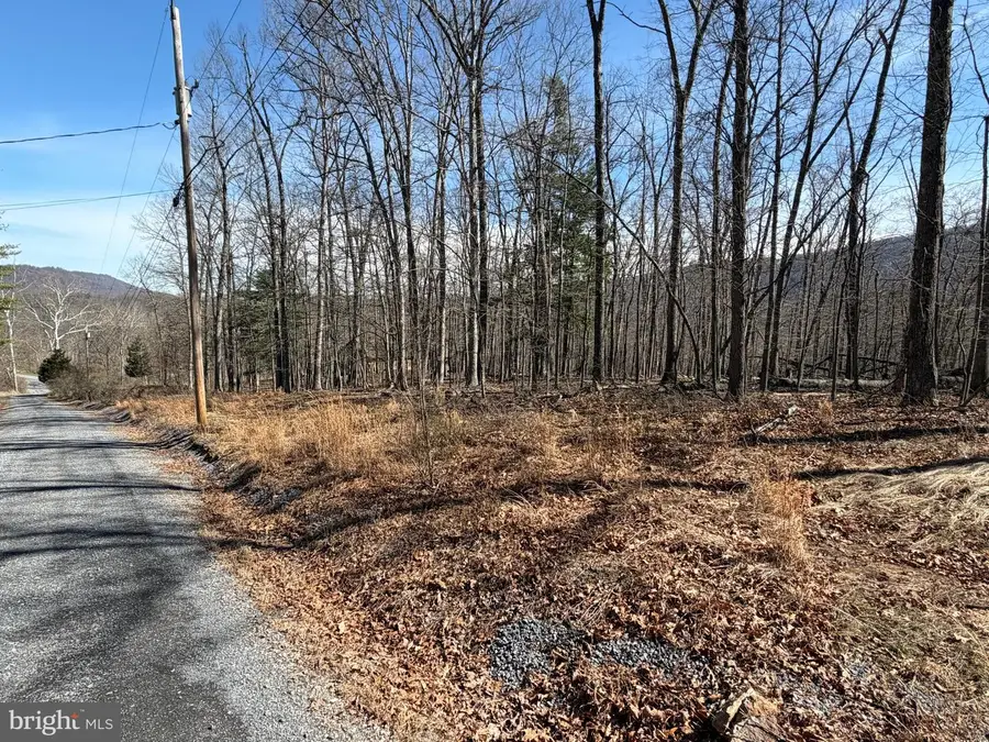 Lot 43 Rapids Point Trl, Great Cacapon, WV 25422 - #2