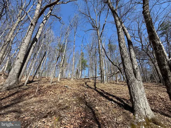 Kentucky Lane, BERKELEY SPRINGS, WV 25411