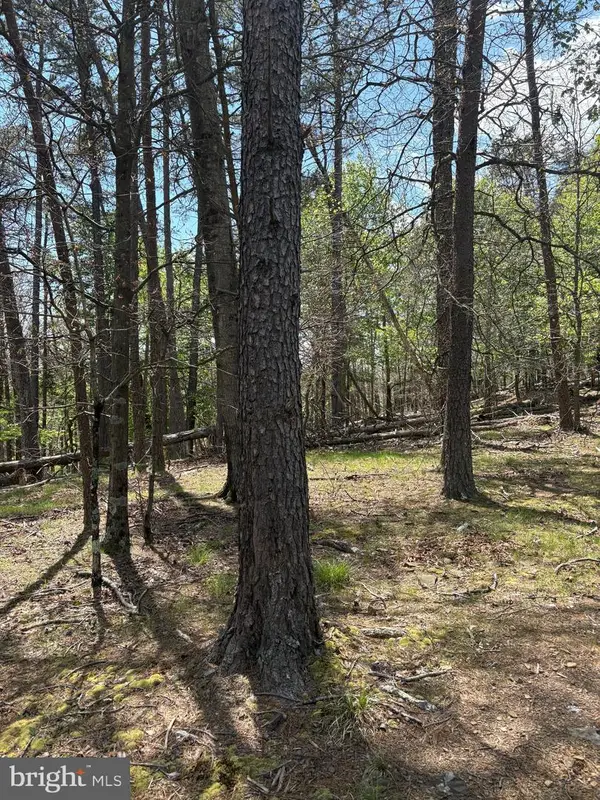 Big Sky, BERKELEY SPRINGS, WV 25411