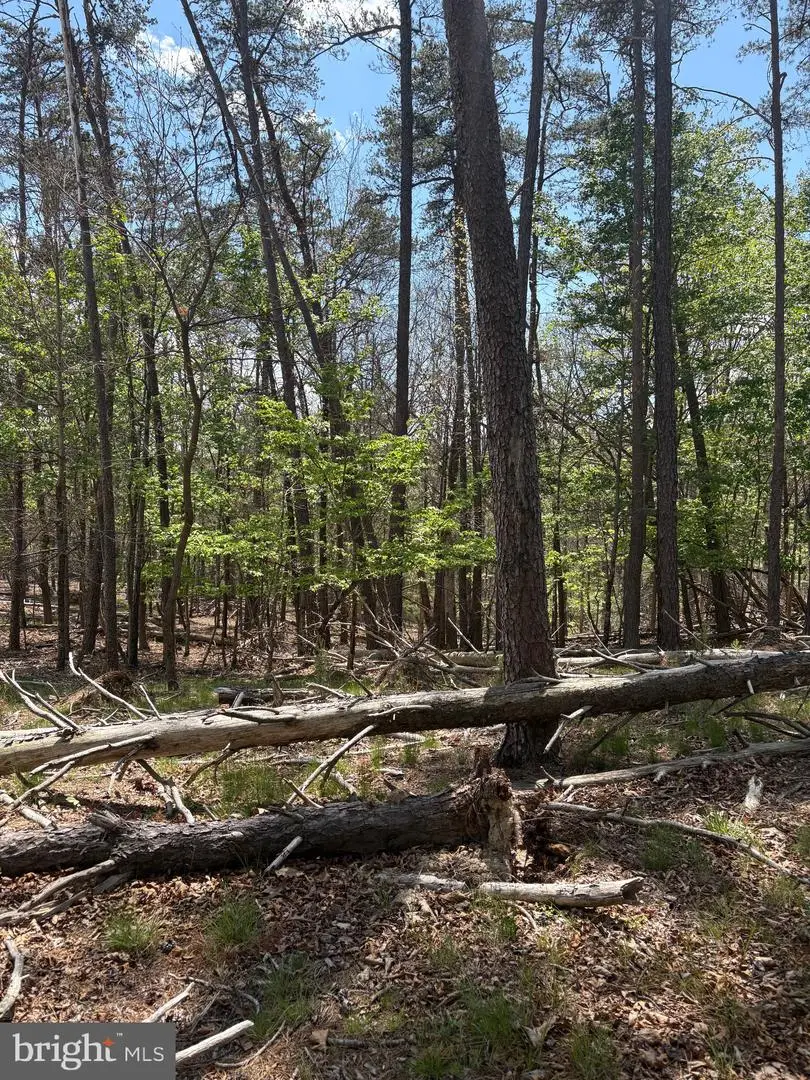 Big Sky, Berkeley Springs, WV 25411 - #2