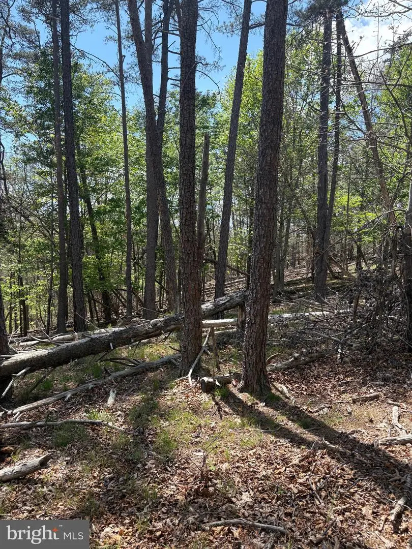 Big Sky, Berkeley Springs, WV 25411 - #3