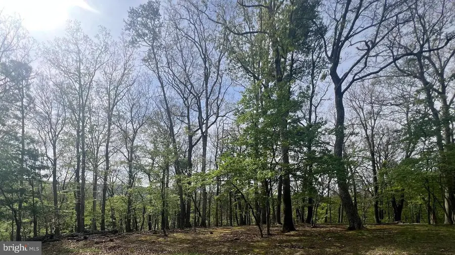 Butterfly Lane, Great Cacapon, WV 25422 - #3
