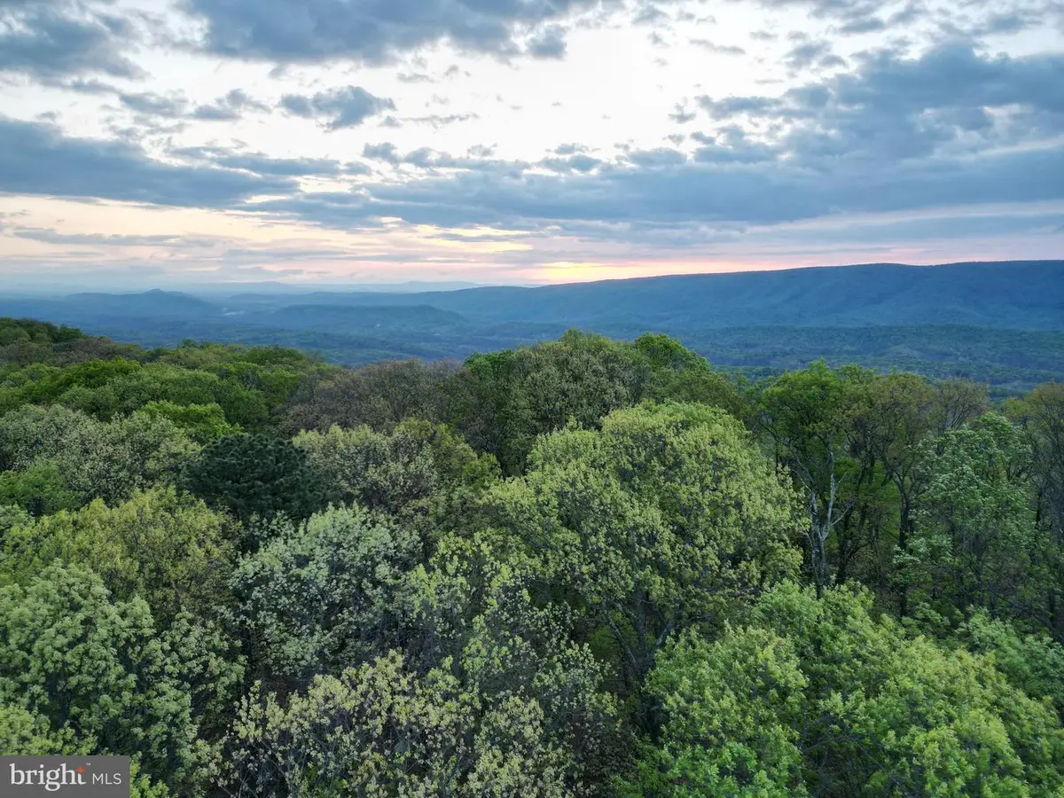 Lot 7 Justin Ln, Great Cacapon, WV 25422 - #1