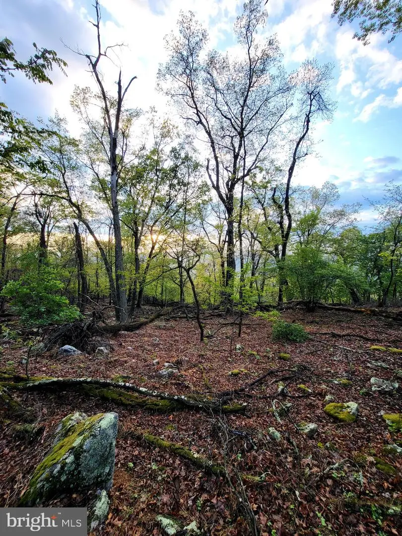Lot 7 Justin Ln, Great Cacapon, WV 25422 - #2